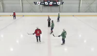 레도비에 스파르탄시 vs 스탈니에 토포리