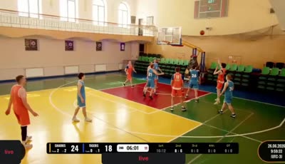 Sharks vs 타이거스