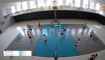 소콜프로 vs 베르쿠트 프로