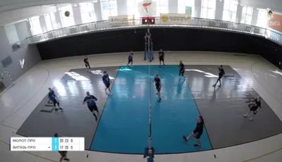 몰롯 프로 vs 비탸즈 프로