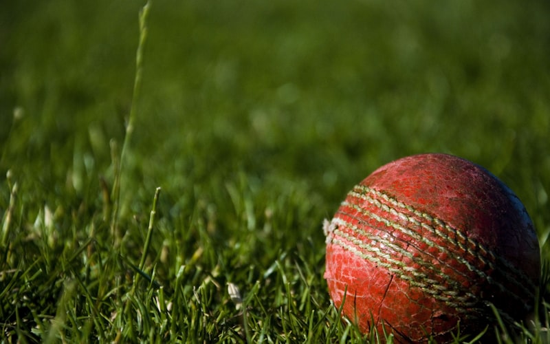 이스라엘 vs 네덜란드