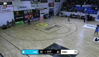 케언즈 돌고래 vs 입 스위치 군